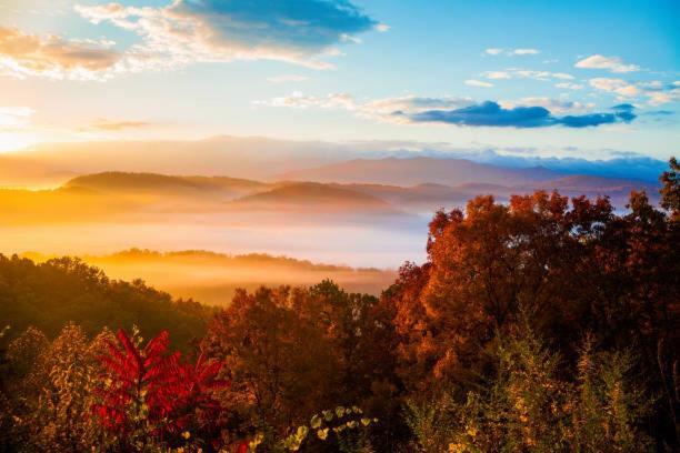 Peace, Serenity & Relaxation In The Smokies! Gatlinburg Extérieur photo
